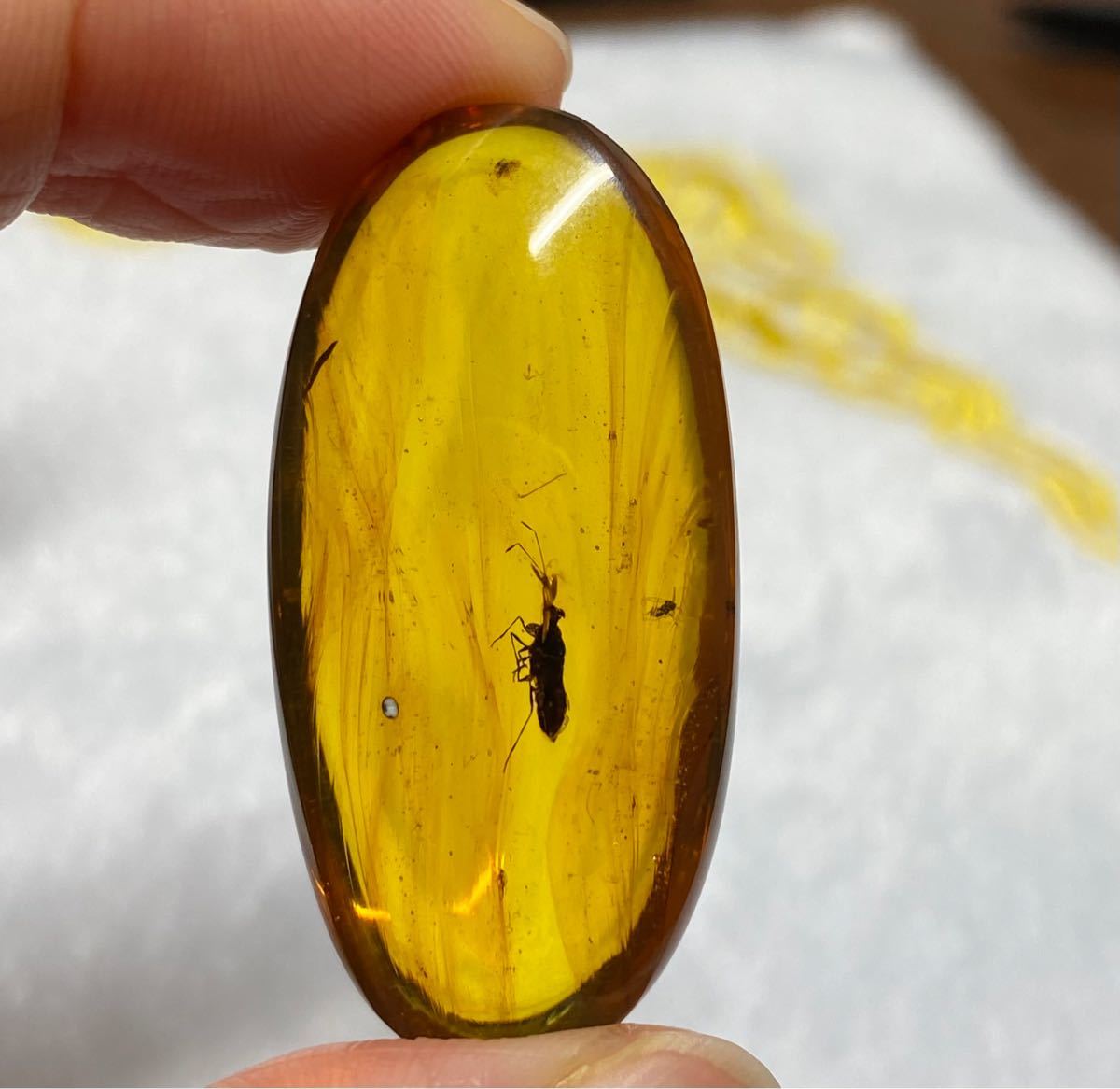 アンバー 琥珀 カメムシ こはく ネックレス 天然石 虫入り 価値上がる
