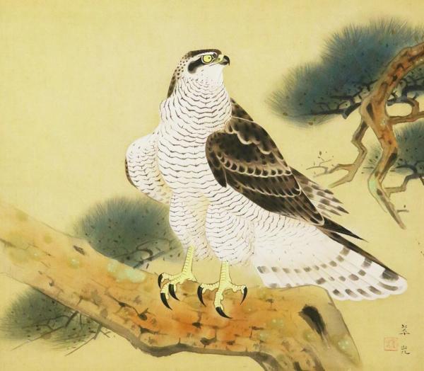 真作】絵画 日本画 静寂の森の鷹 伝統技法による自然美 精緻な描写 V90