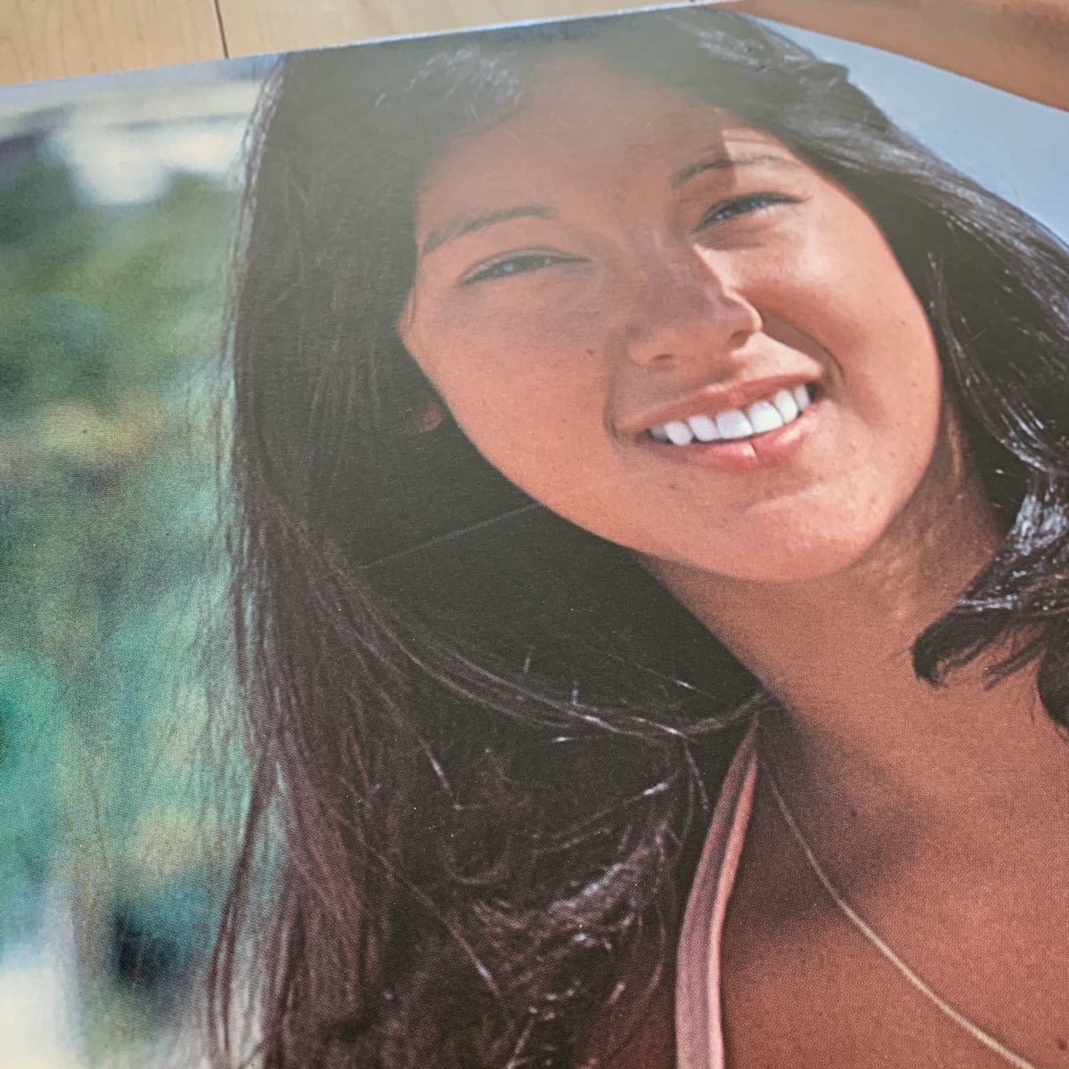 希少 当時物 アグネス ラム フォトグラフ パネル ポスター 木製