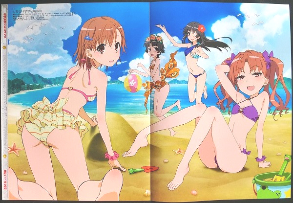 とある科学の超電磁砲 ブシロードカード 御坂美琴、白井黒子 水着 PSA10点