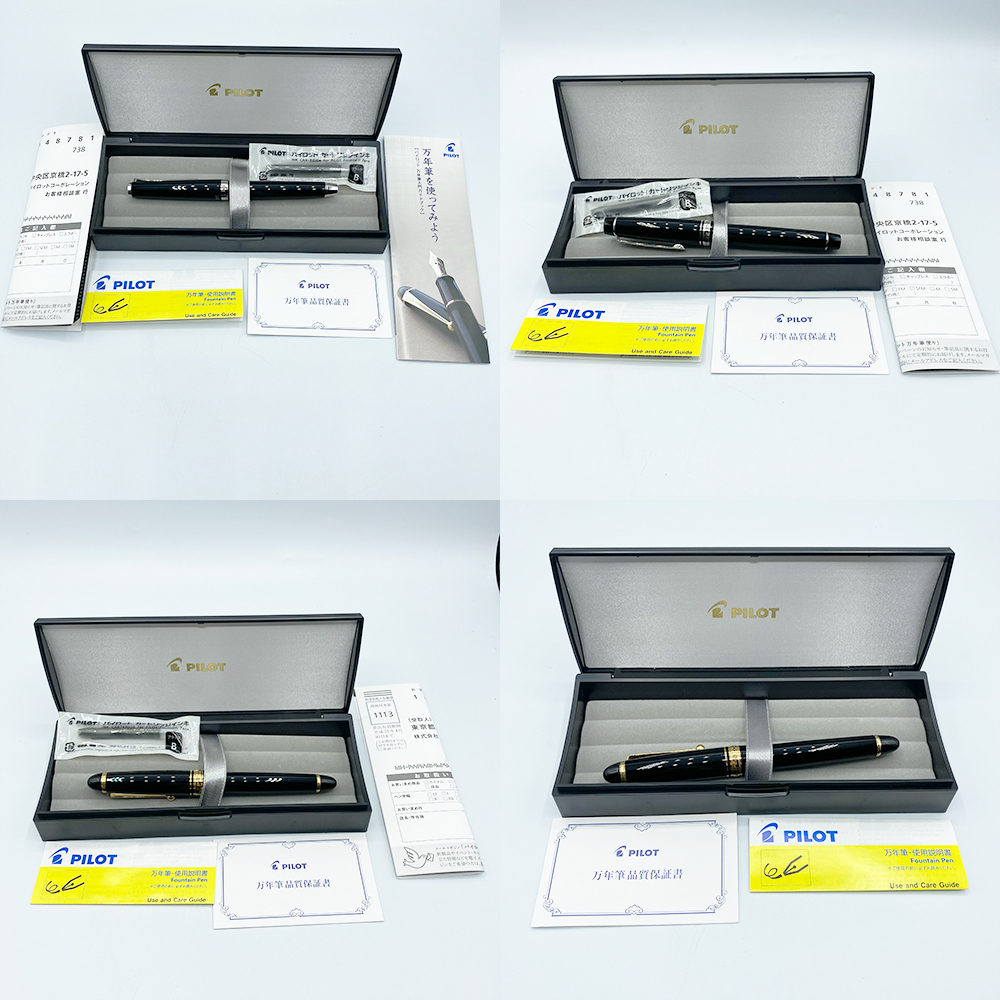 パイロット PILOT 万年筆 14K585 ゴールドペン先 5FM 箱付き