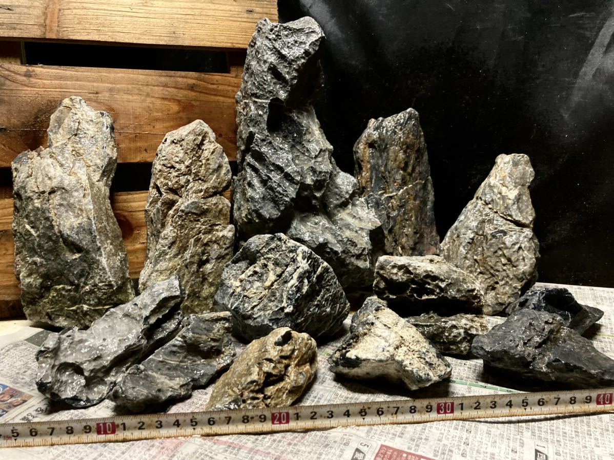 2[新品]ADA 龍王石6.5キロ☆水槽 レイアウト 清流石 青龍石 親石