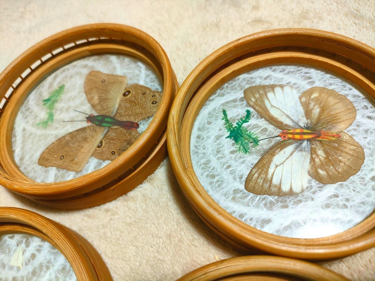 ビンテージ 昭和レトロ 盆 コースター 蝶 標本 和食器 竹細工 剥製