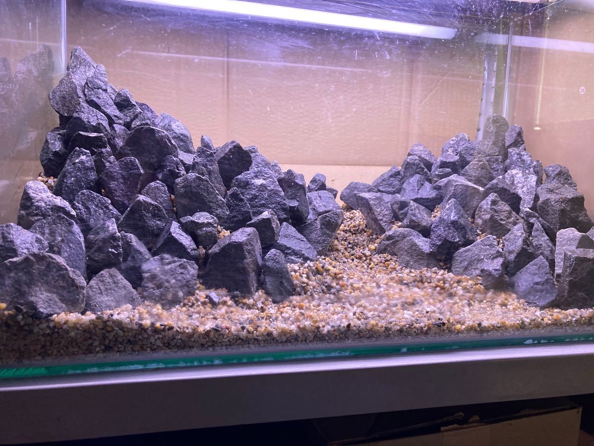 青龍石セット -29cm 60cm水槽 アクアリウム テラリウム 石 レイアウト