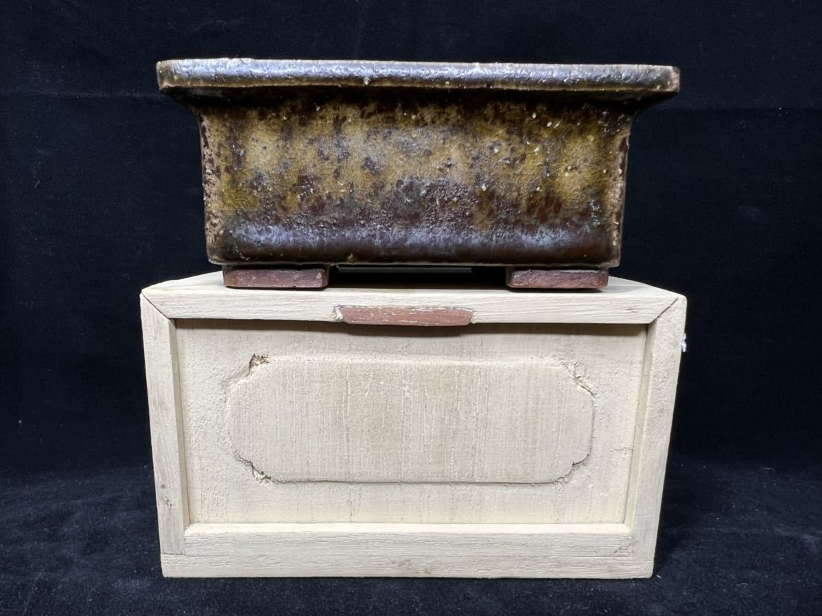 盆栽鉢 初代東福寺 盆栽鉢 初代東福寺 【公式通販】