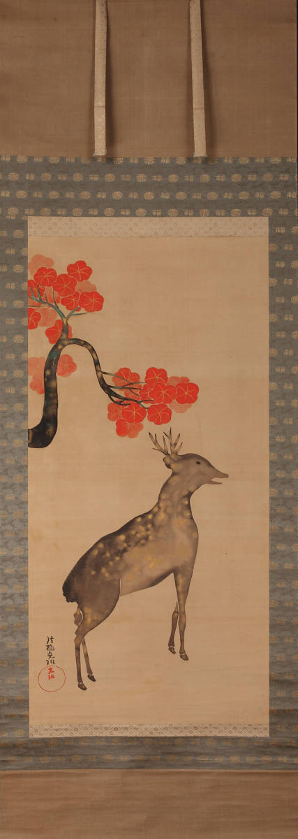 ◇鑑定書付き◇【鑑】大倉好斎 【画】尾形光琳「紅葉鹿図」掛軸 金泥