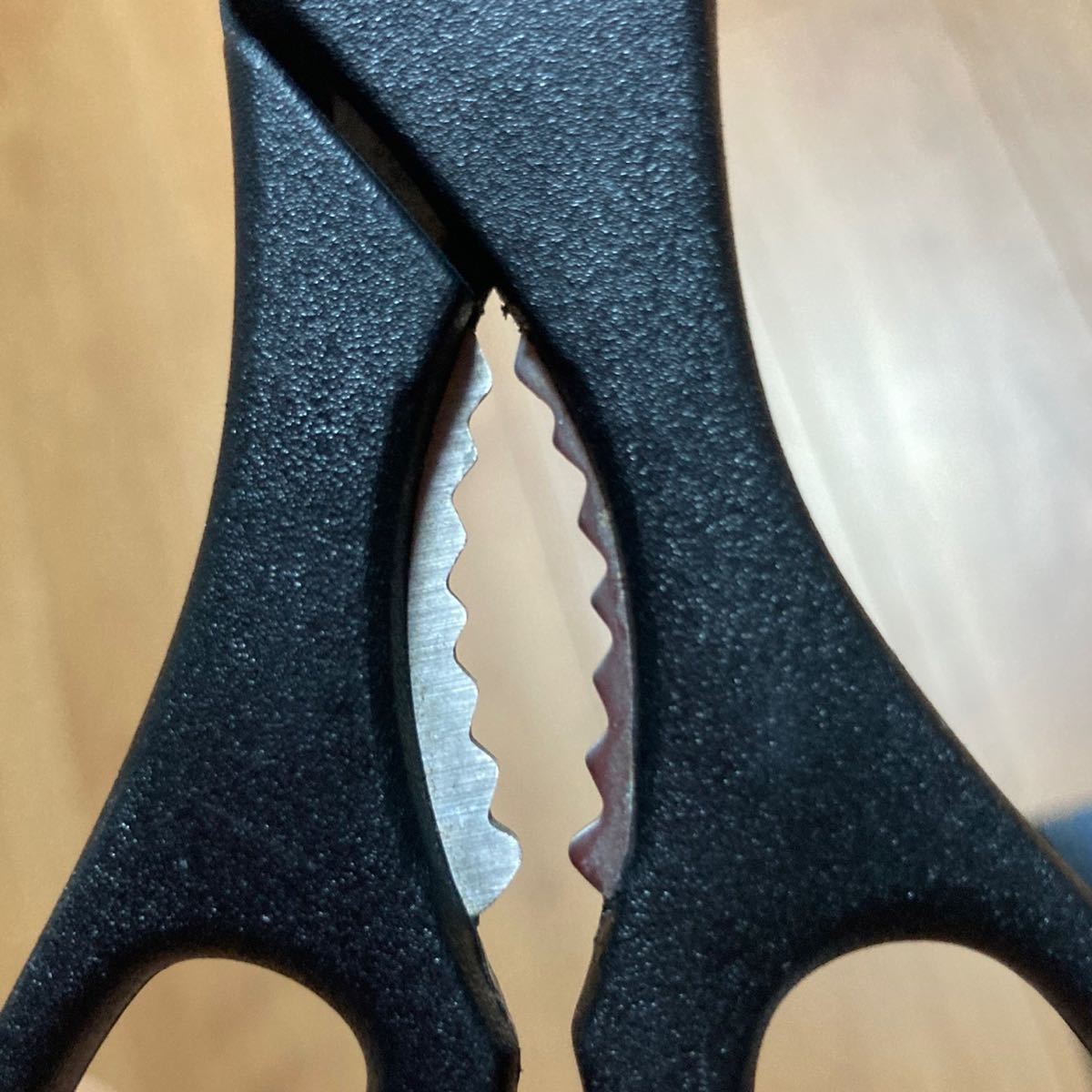 北海道十勝産 朝鮮五葉松 殻付き松の実 1kg｜Yahoo!フリマ（旧PayPay