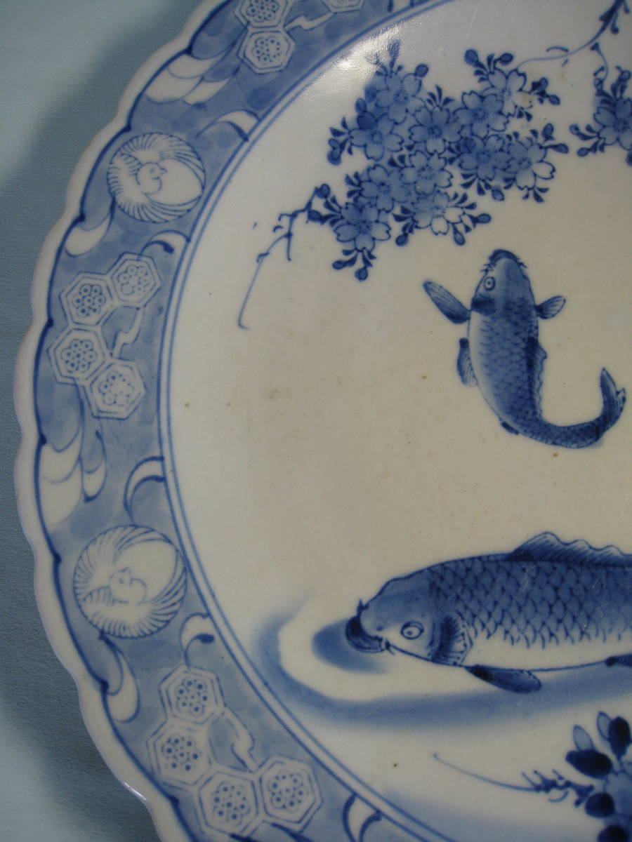 伊万里 『染付 鯉文皿 』 大皿 径約40㎝ ◉本日限定◉古