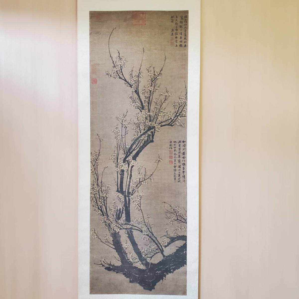 南枝春早図 元時代 王冕掛軸二玄社