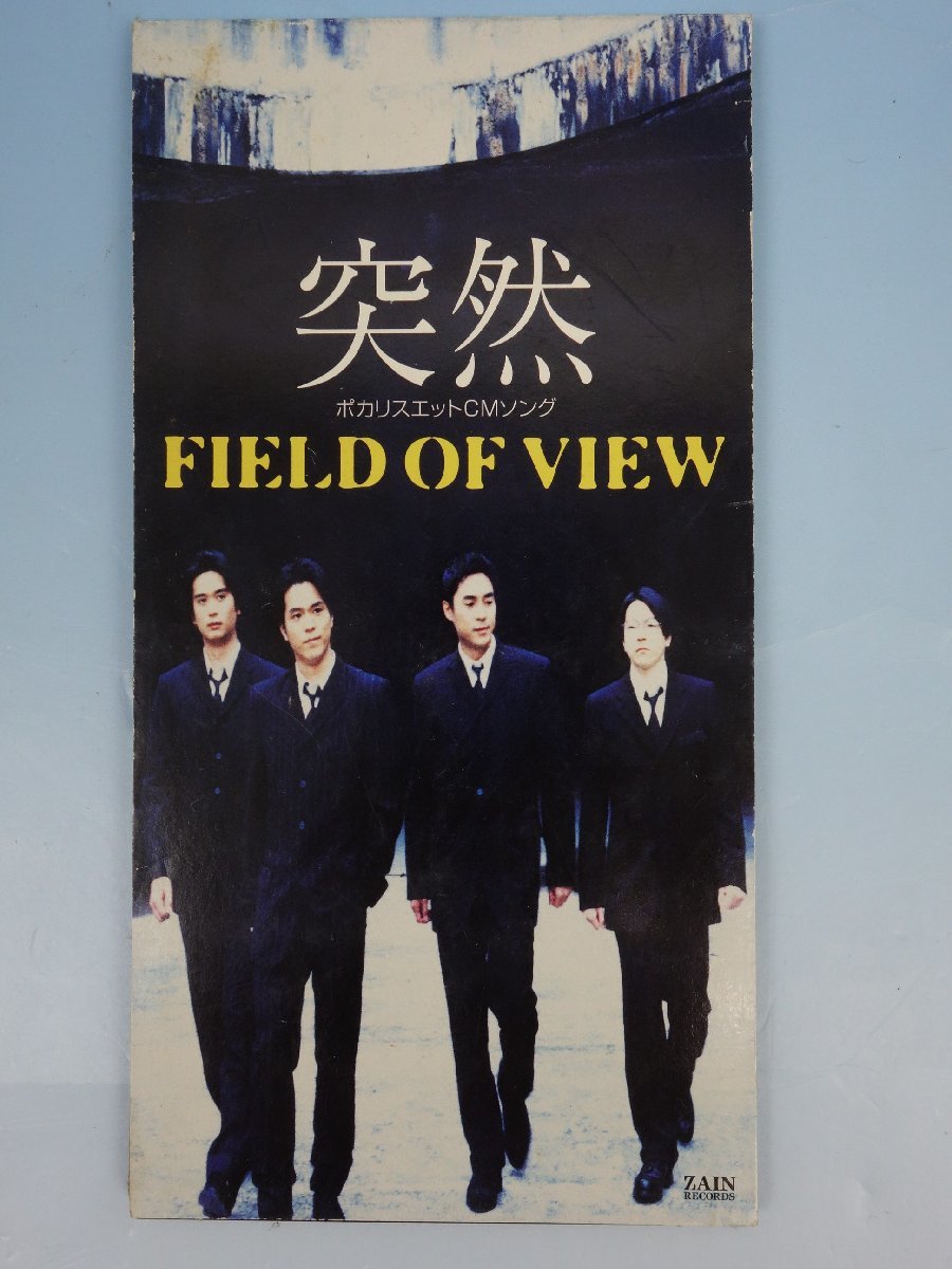 the FIELD OF VIEW/FINAL LIVE「Live Horiz… FIELD OF VIEW - Live