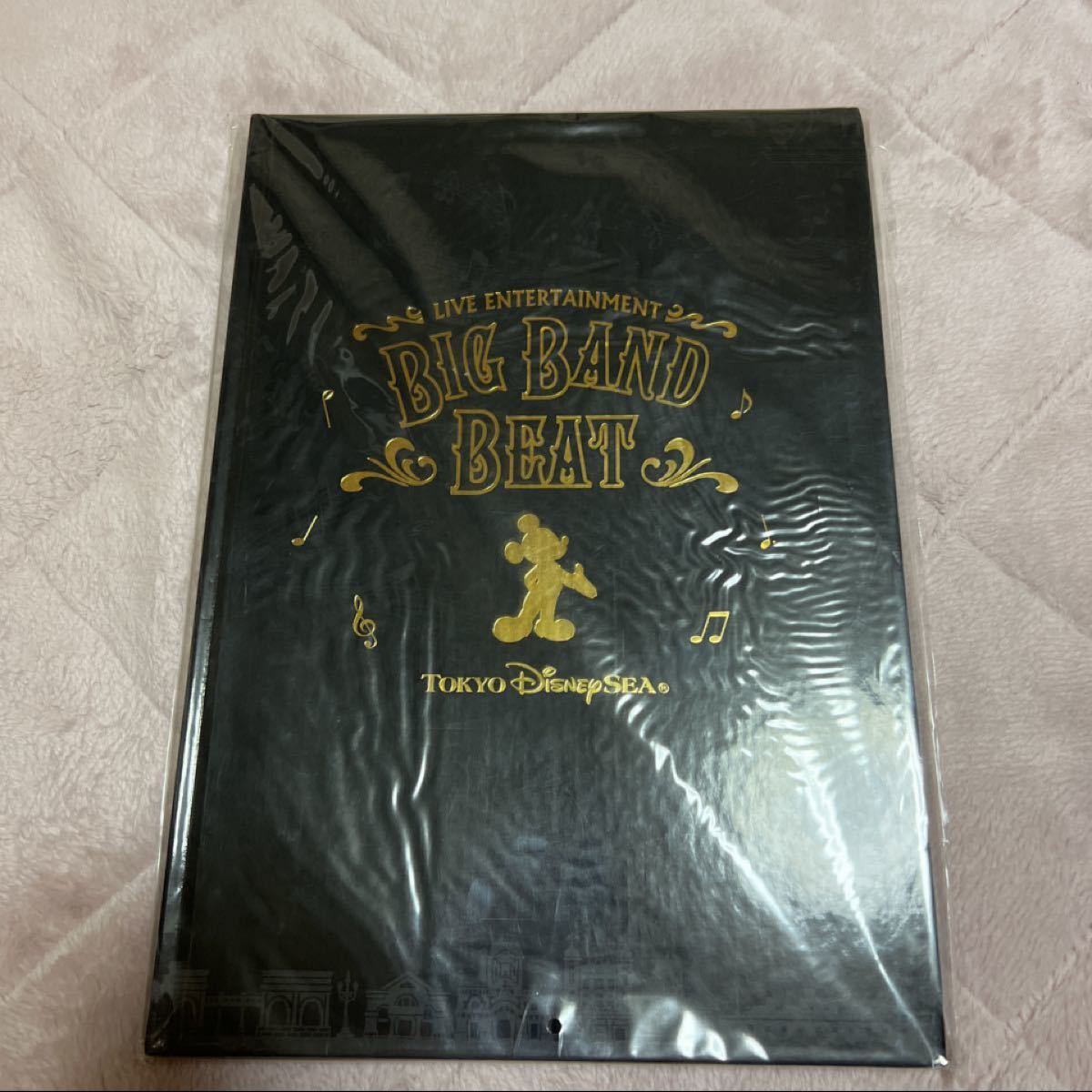 東京ディズニーシー BIG BAND BEAT 写真集 フォトブック BBB 【写真集