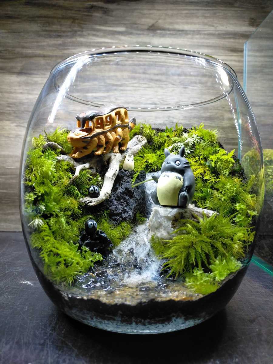 受注生産】滝のあるアクアテラリウム イモリウム 苔テラリウム アクア