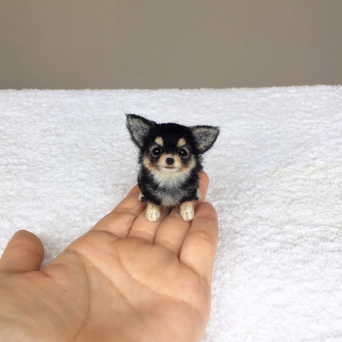ぴのきち☆5.5cmのチワワパピーちゃん☆羊毛フェルト チワワ ロング