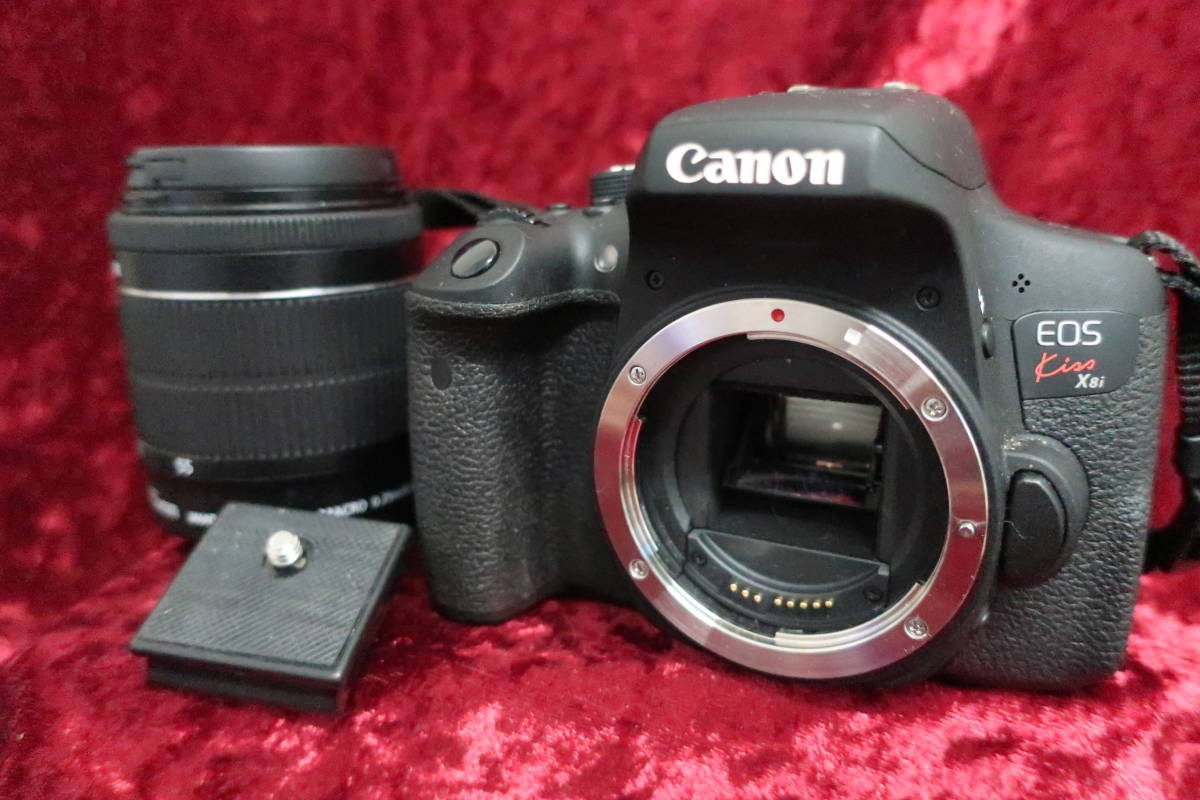 天然素材細工根付能面翁彫刻 和装小物 帯留め 着物希少品 時代物