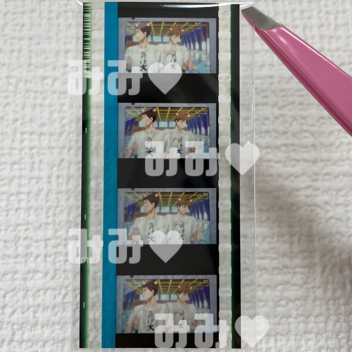 Free FS 映画 特典 コマフィルム 負け犬 フィルム 橘真琴 山崎宗介