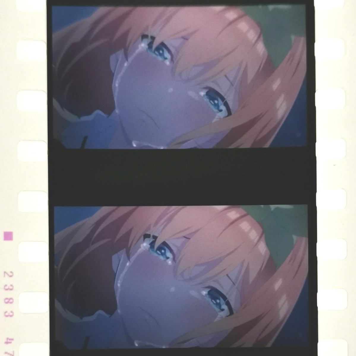 劇場版 五等分の花嫁 中野四葉 四葉 入場特典 コマフィルム 泣き顔