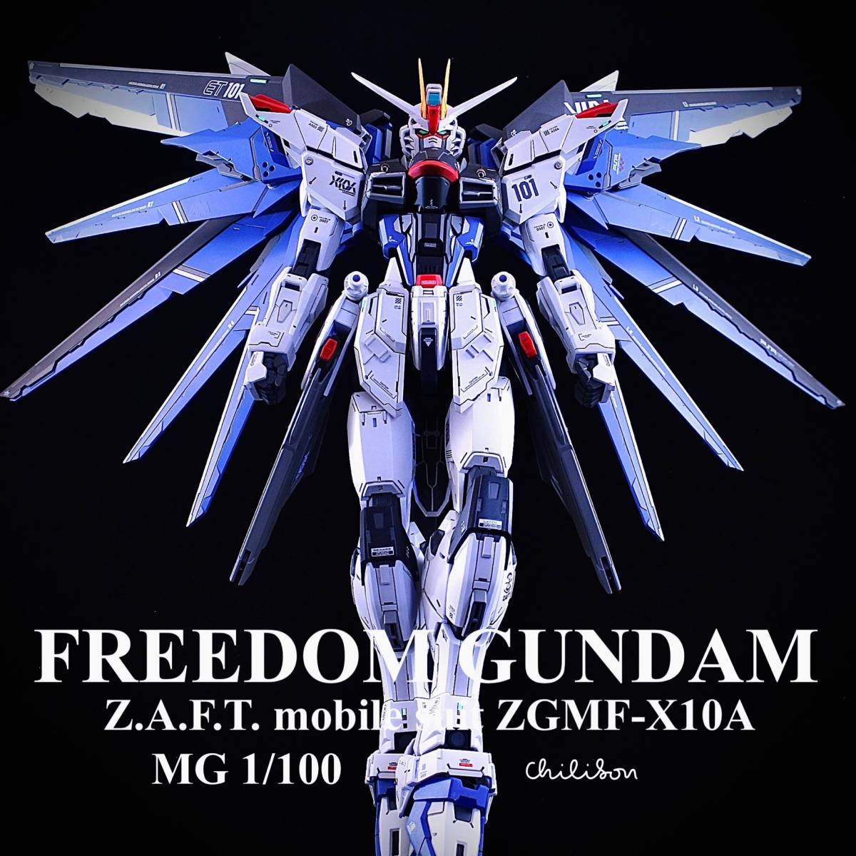 MG フリーダムガンダム ver.2.0 改修塗装完成品