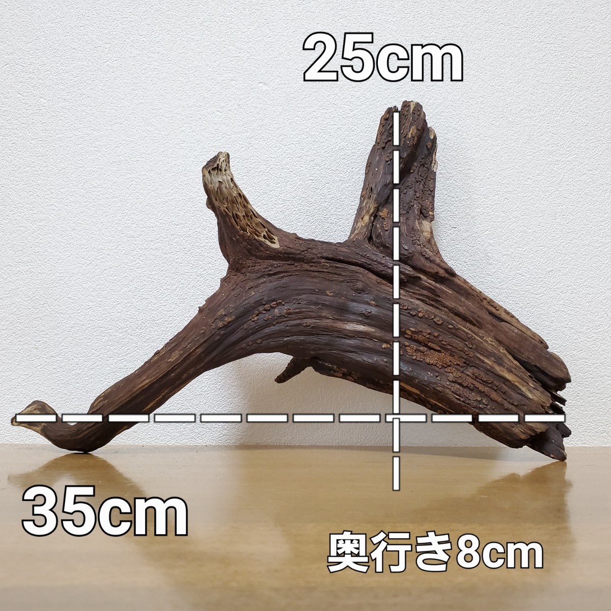 353】流木 インテリアや爬虫類などに 止まり木 アクアリウム 【公式通販】