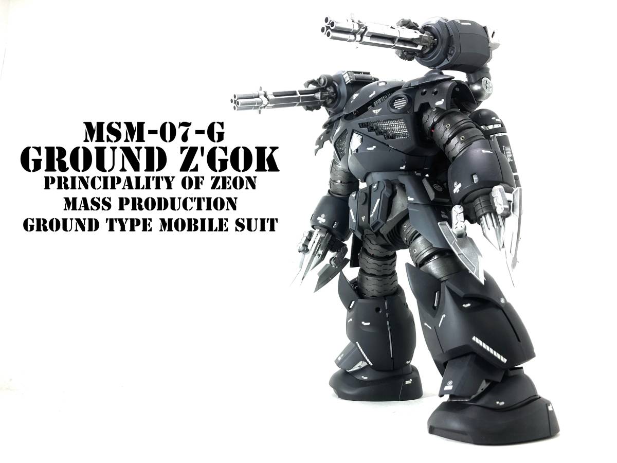 Yahoo!オークション - MG 陸戦改修型ズゴック 全塗装完成品【ガンプラ