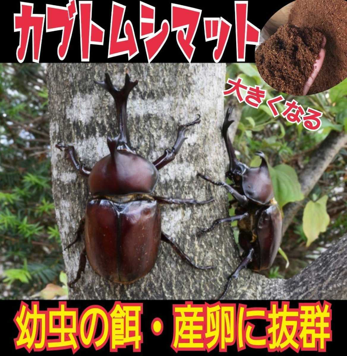 カブトムシ幼虫が大きくなる！改良版！発酵マット【6袋】コバエ、雑虫