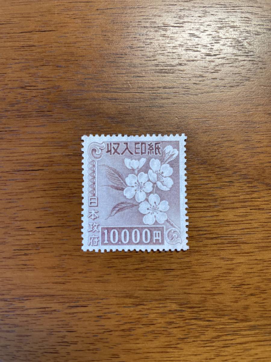 川村ゆきえ「サンタコスチューム」トレーディングカード全5種セット