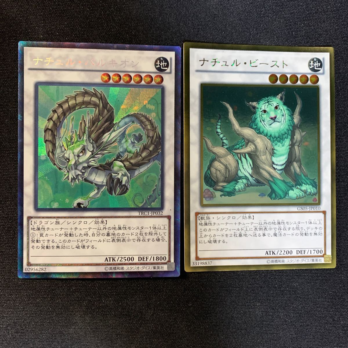 遊戯王 ナチュルビースト DTCシークレット psa10 遊戯王 ナチュル