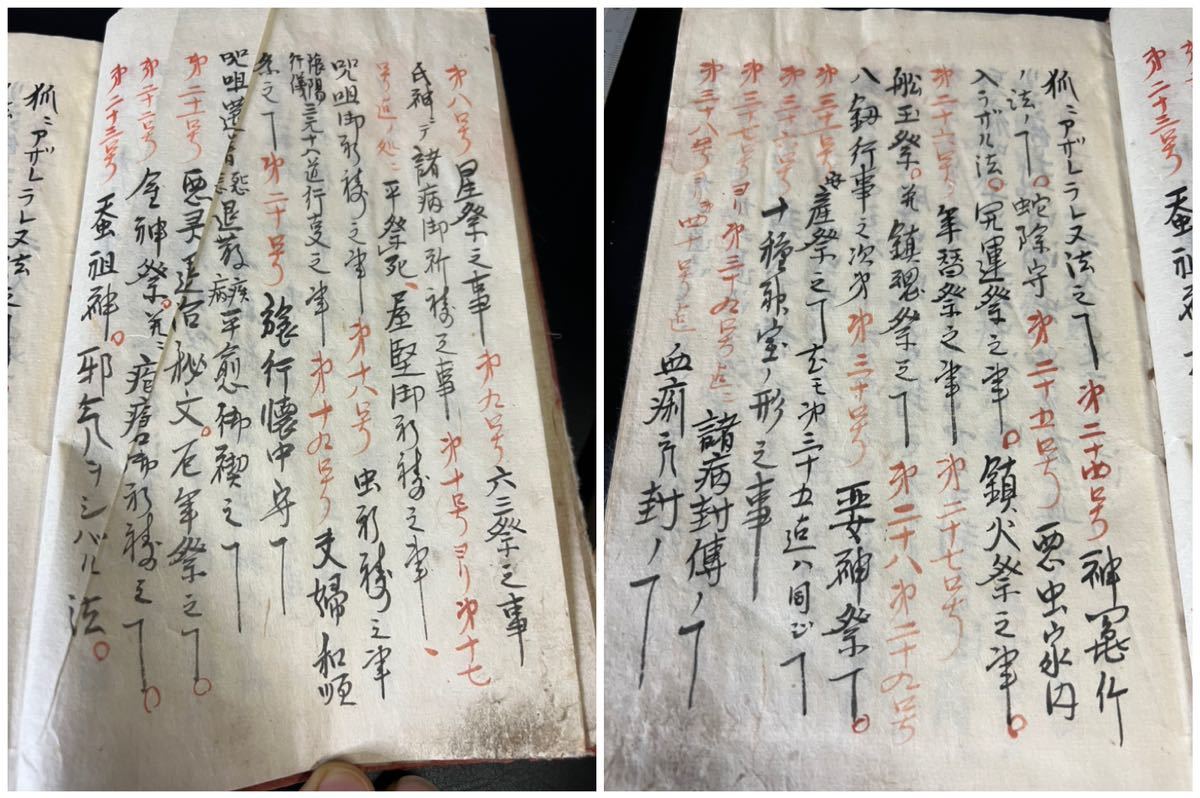 河合規仁先生最新作品「御娘禮讃」掛け軸 新入荷！ 河合規仁先生最新