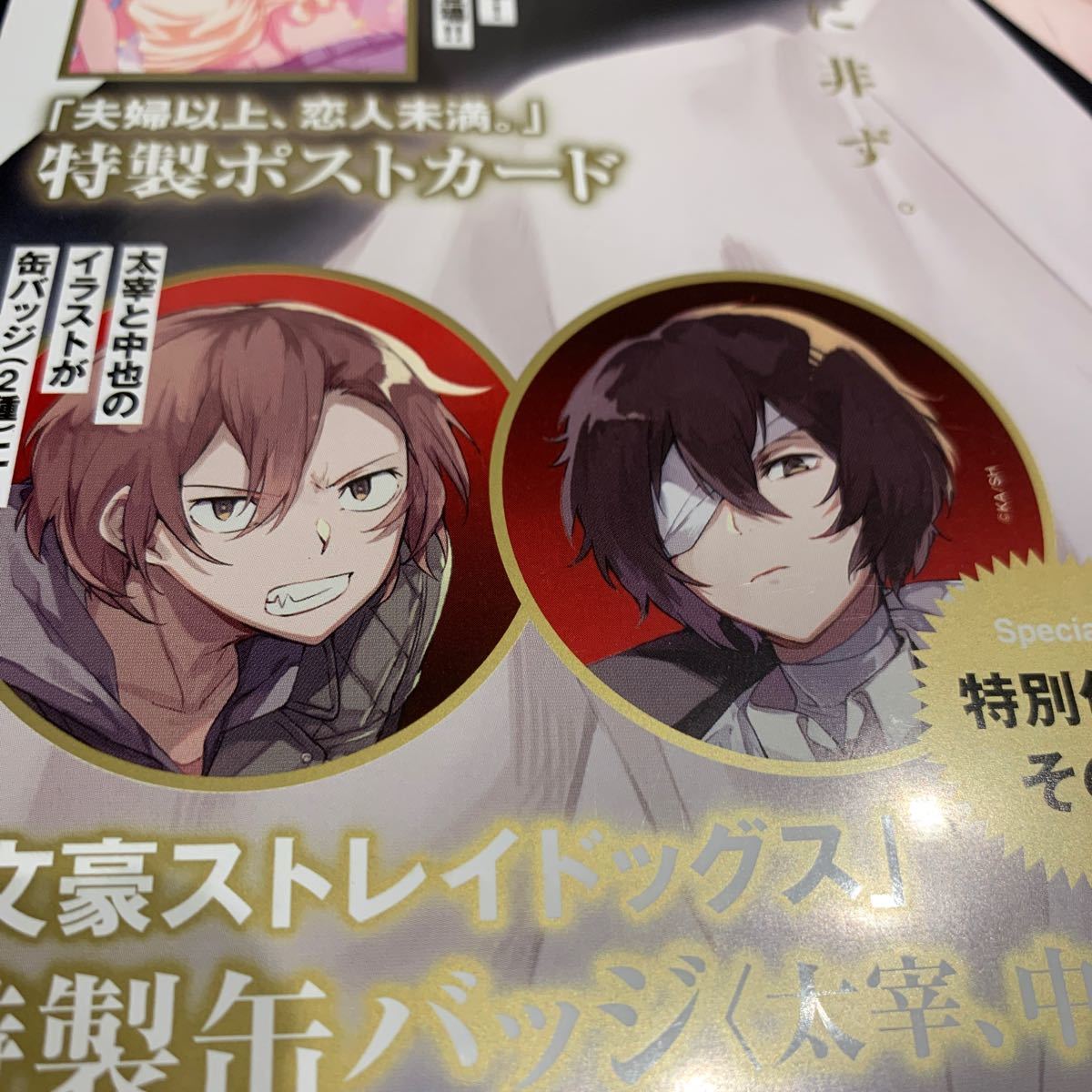 文豪ストレイドッグス 中原中也 缶バッジ 15歳 文豪ストレイドッグス