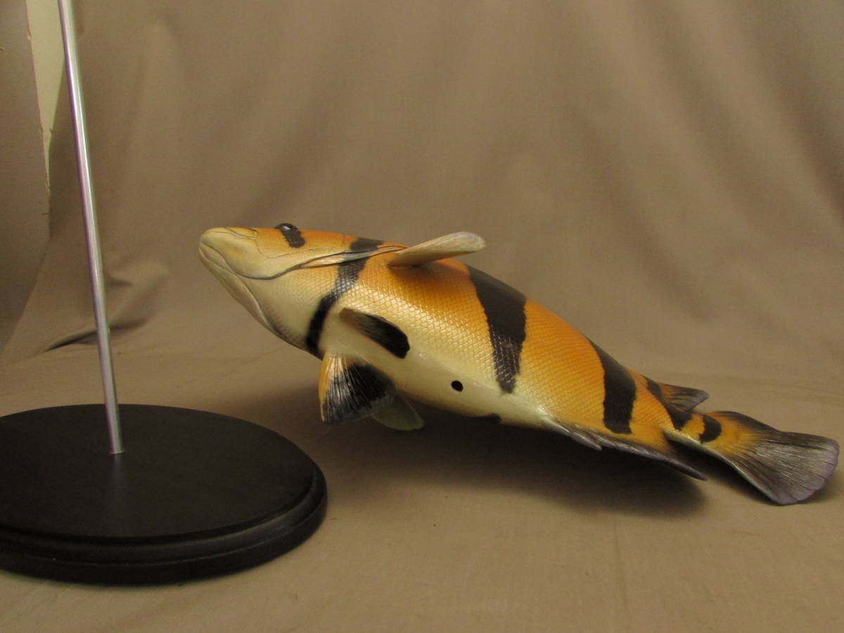 ハンドメイド48cmダトニオ シャムタイガーフィギュアレプリカ置物魚