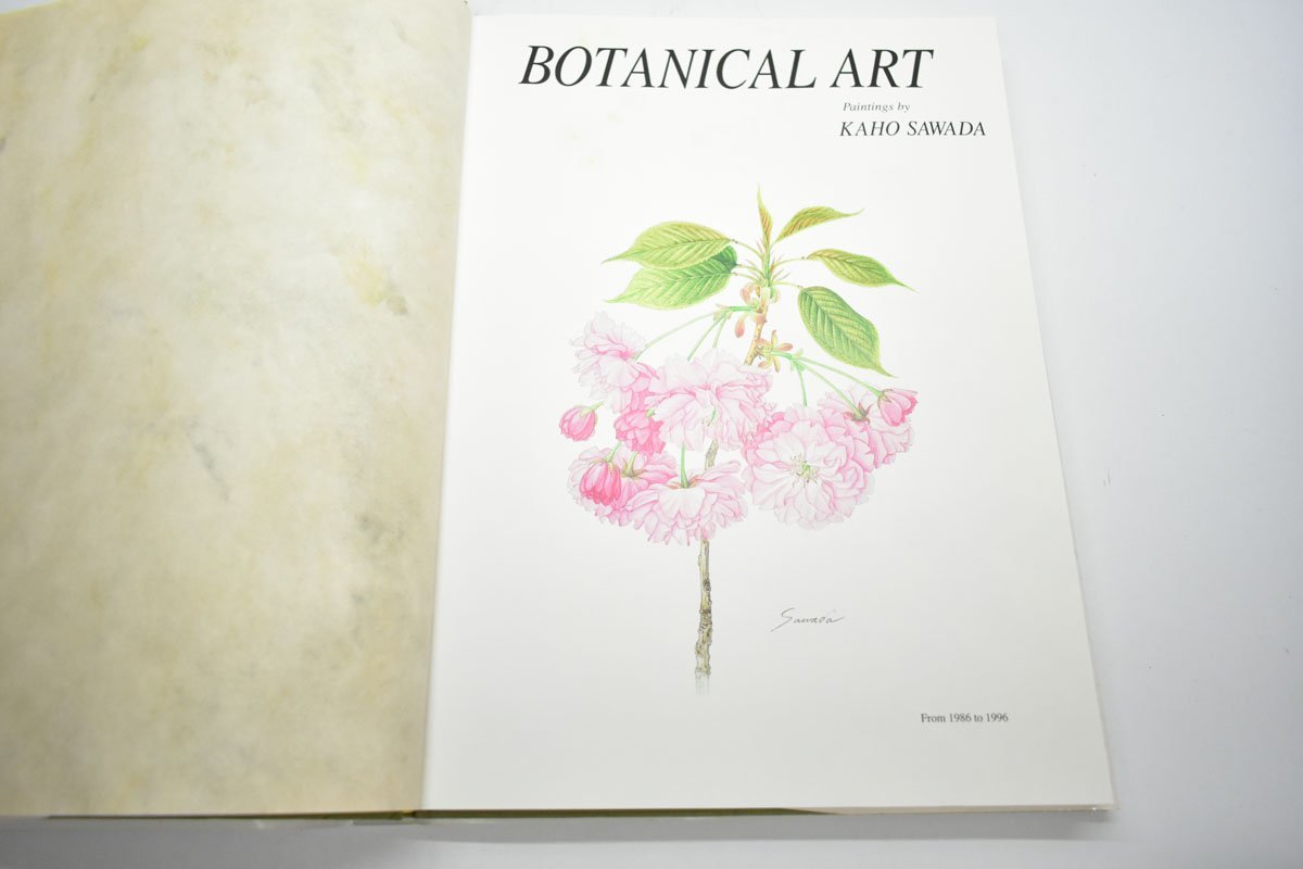 Yahoo!オークション - ボタニカルアート 画集 沢田佳歩 大型本 カラー