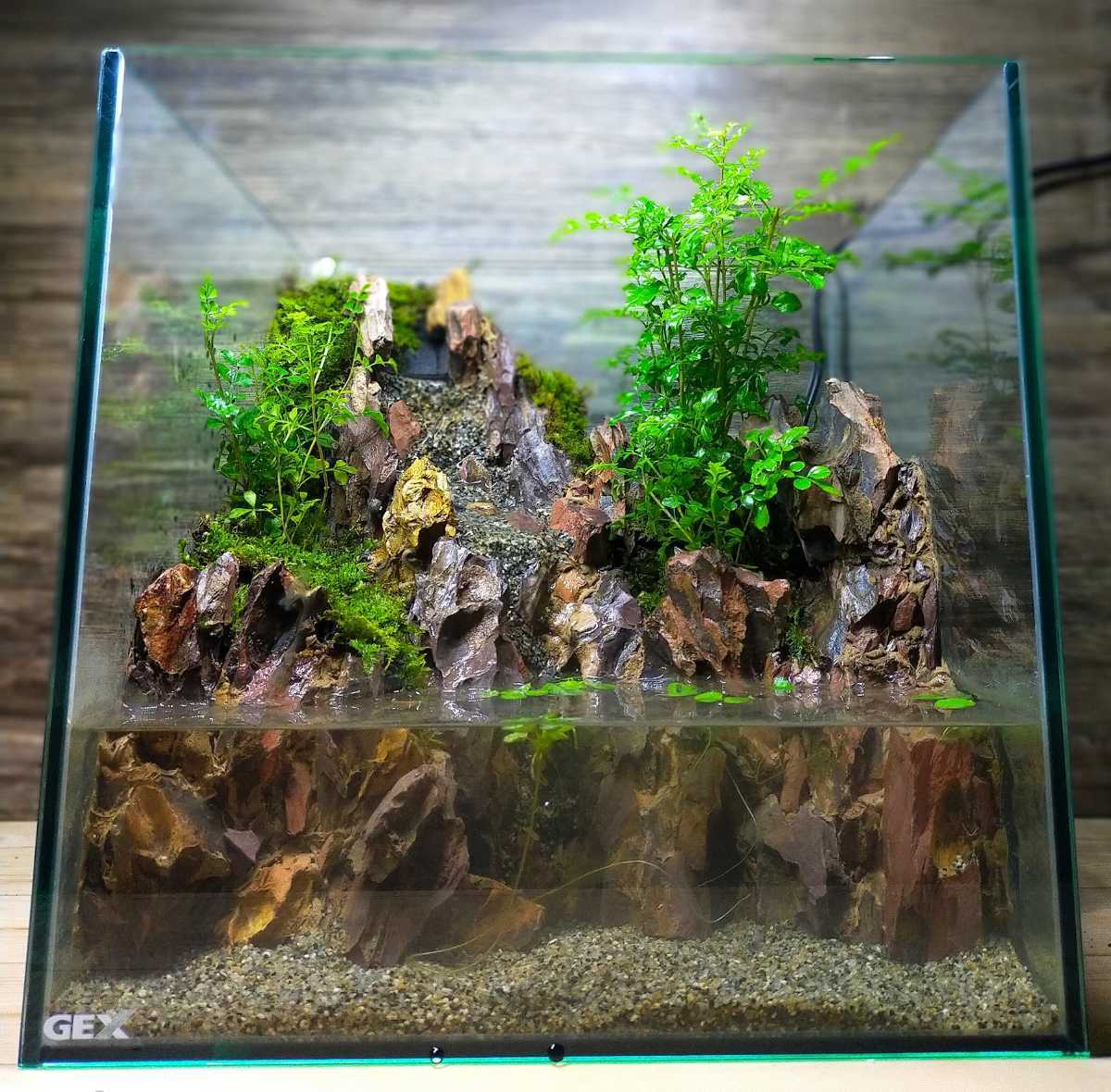 滝と霧の流れるアクアテラリウム やすぞ〜 滝と霧の流れるアクア