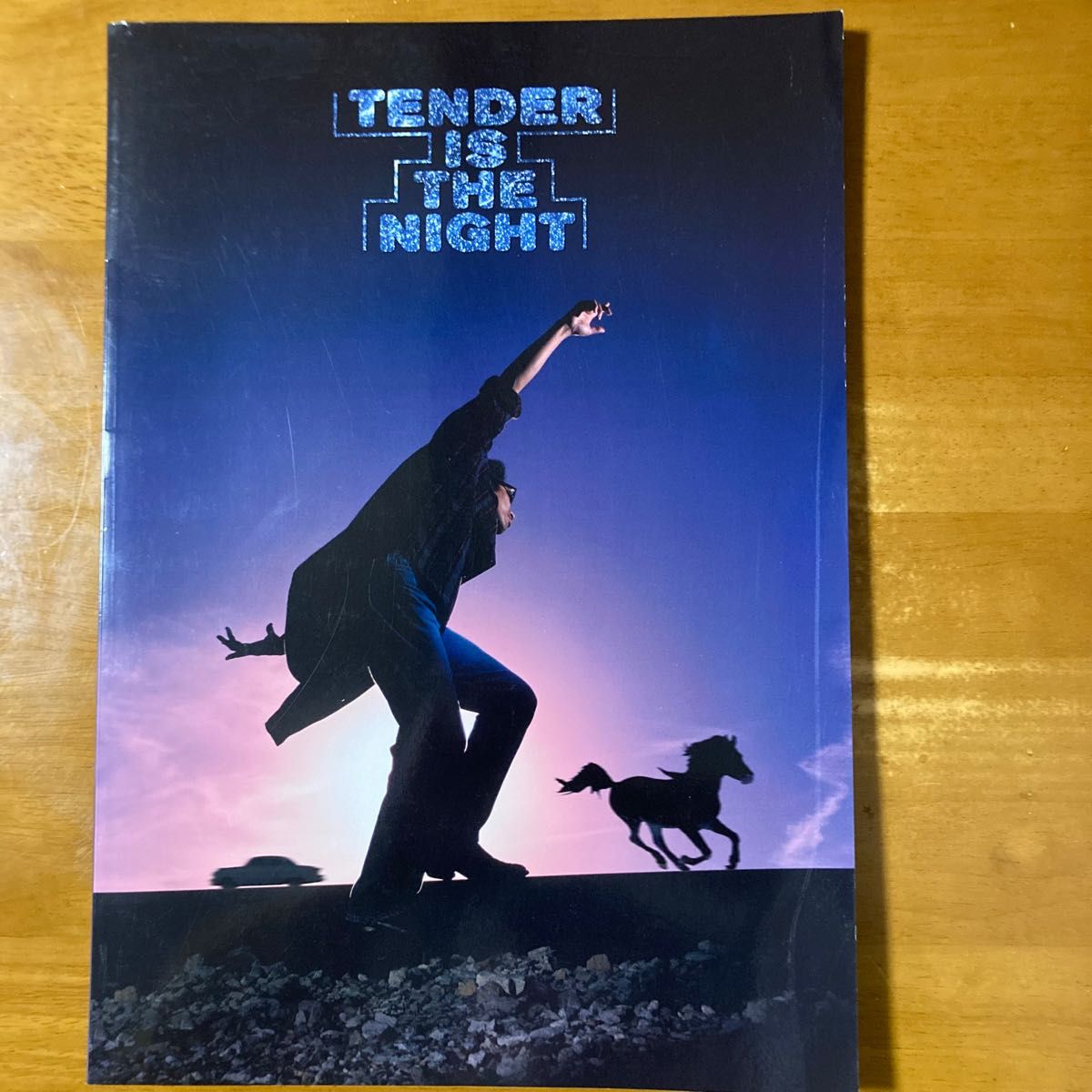 浜田省吾 パンフレット ON THE ROAD '96 ライブ TENDER IS THE NIGHT