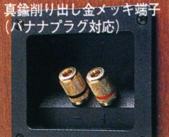 Pioneer S-N901-LRの仕様 パイオニア