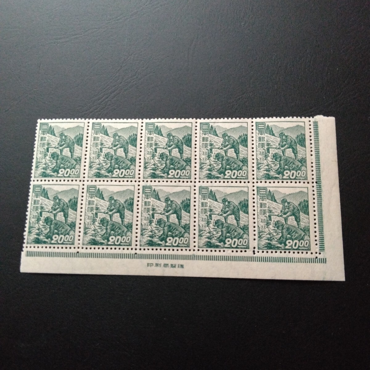 お値下げ＊琉球 沖縄切手 1951年 植林 田型 未使用 NH美品