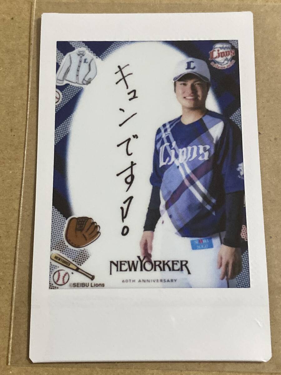 2026年最新】Yahoo!オークション -甲斐野央の中古品・新品・未使用品一覧