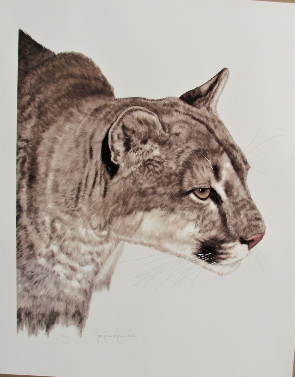 2026年最新】Yahoo!オークション -ジャッキーマリーの中古品・新品・未