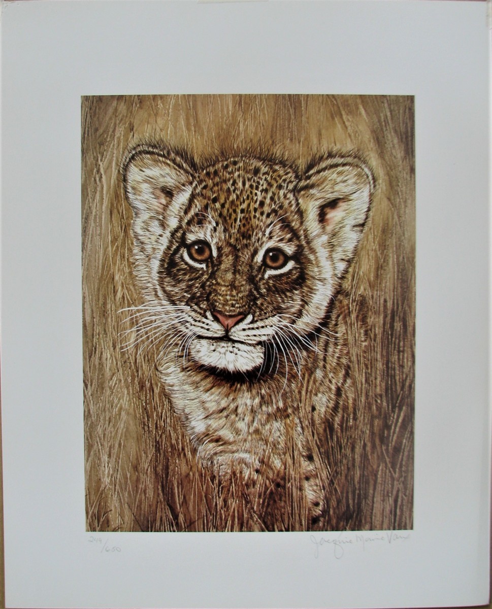 2026年最新】Yahoo!オークション -ジャッキーマリーの中古品・新品・未