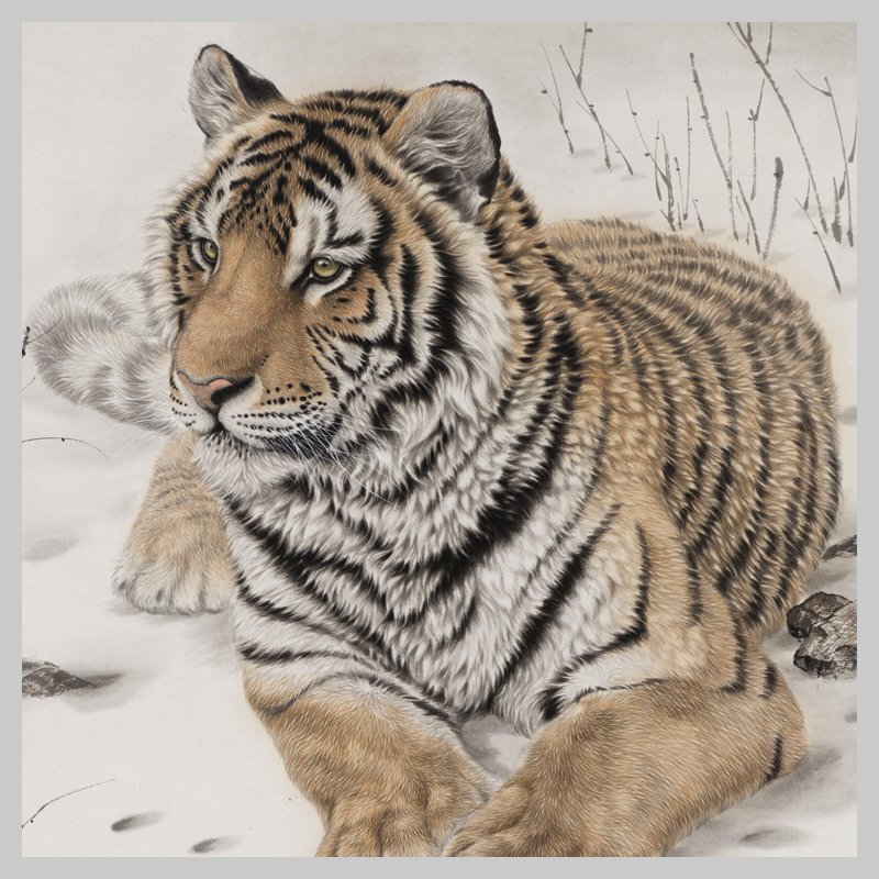 李朝 水墨画 虎の掛け軸 李朝 水墨画 虎の掛け軸 2025年最新】虎 掛軸