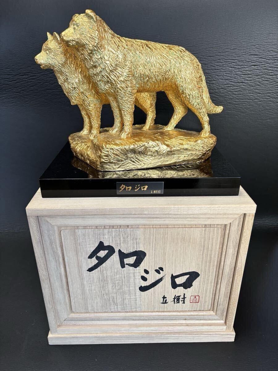 Yahoo!オークション -「タロジロ」の落札相場・落札価格