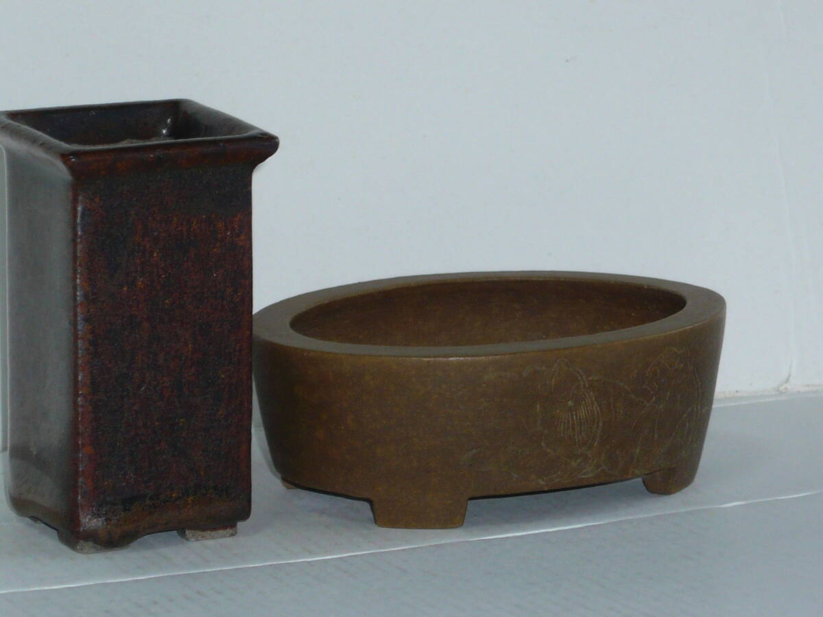 Yahoo!オークション -「萬」(鉢) (盆栽用具)の落札相場・落札価格