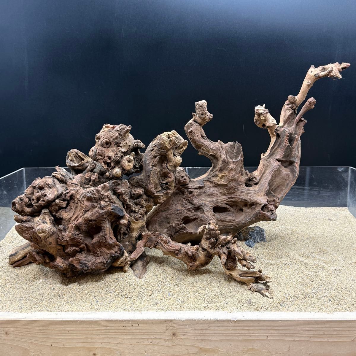 MSRW-7171天然流木2本セット スリムウッド アクアリウム｜Yahoo!フリマ