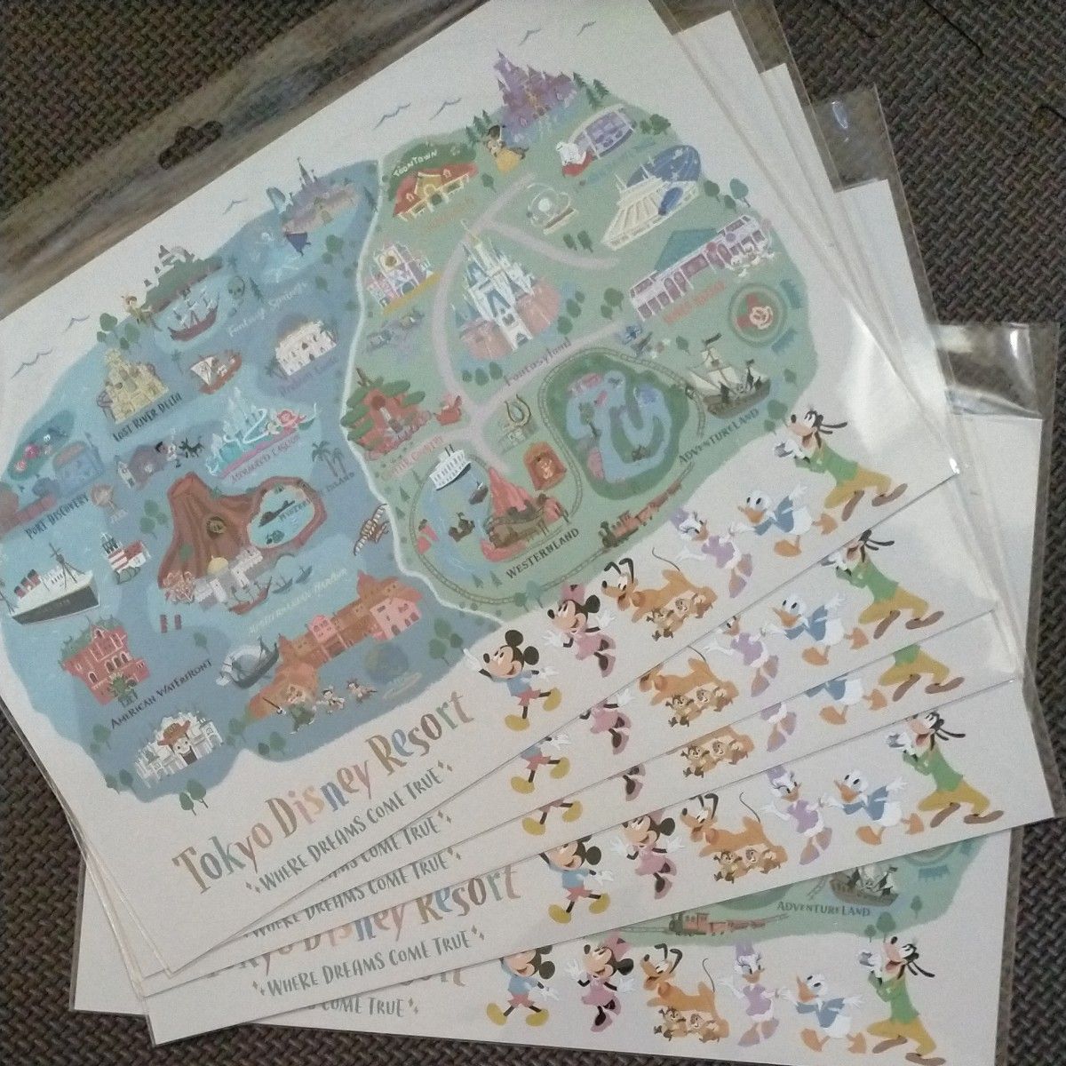 東京ディズニーリゾート ジグソーパズル 500ピース マップ 未開封