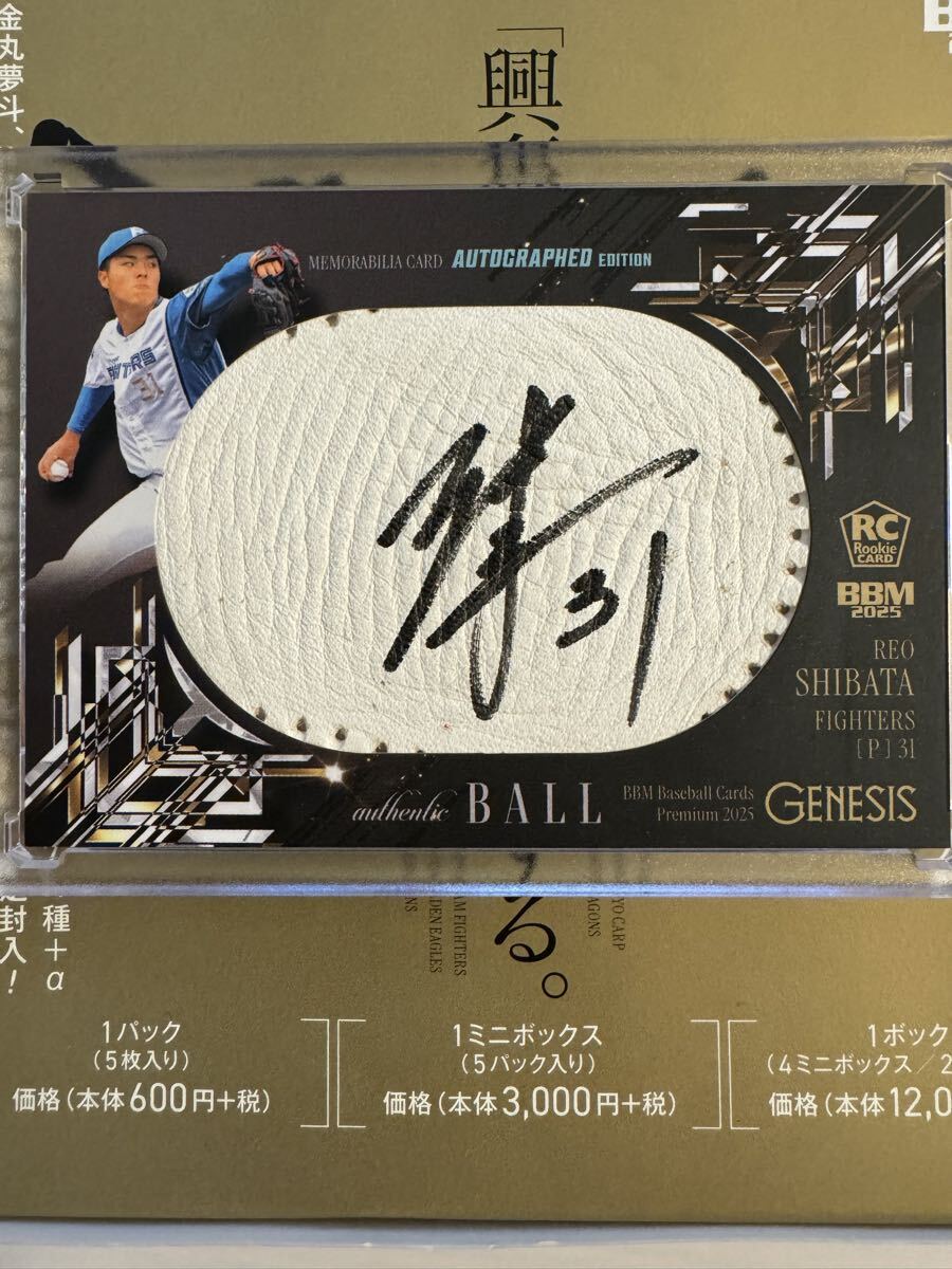 Yahoo!オークション -「柴田獅子 直筆」の落札相場・落札価格