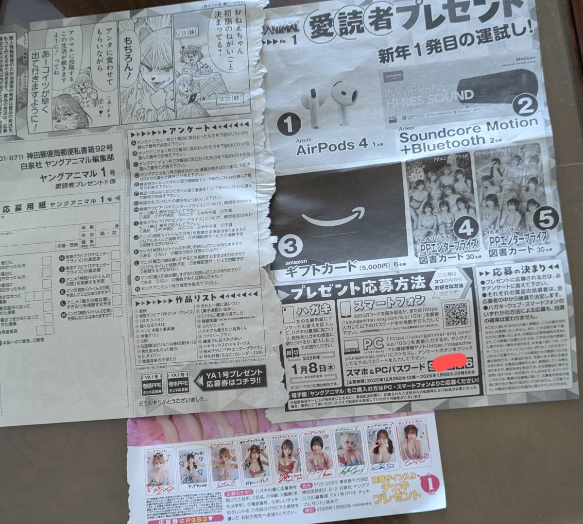 ヤングアニマル 南あみ直筆サイン入りチェキ 抽プレ 当選 PP