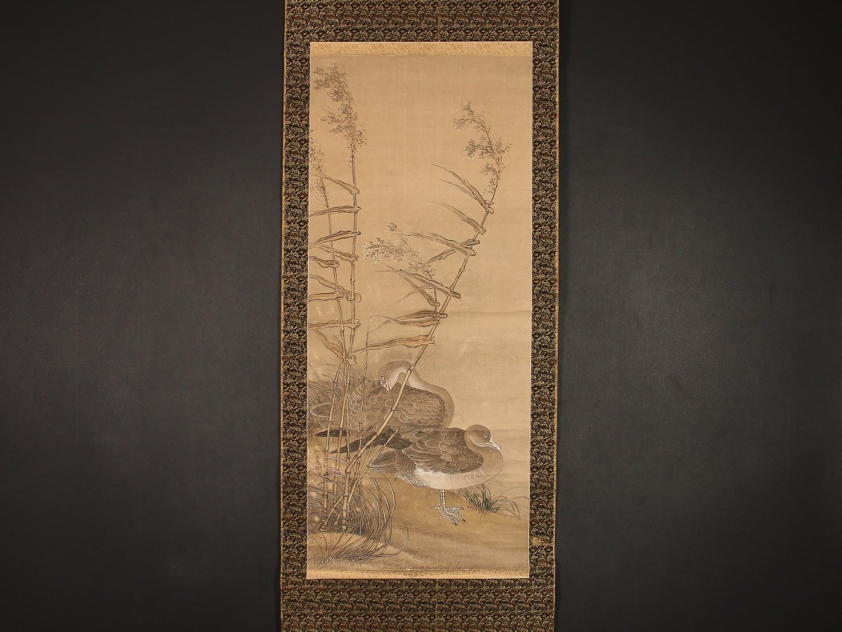 Yahoo!オークション -「谷文晁 掛け軸」の落札相場・落札価格