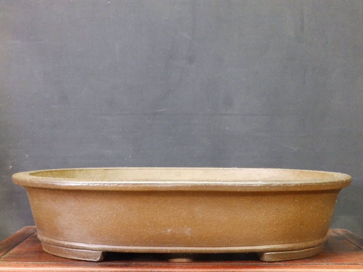 Yahoo!オークション -「真山」(盆栽) の落札相場・落札価格