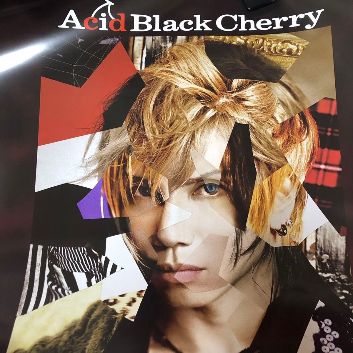 Acid Black Cherry LtOVES ABCパーカー(L)｜Yahoo!フリマ（旧PayPay