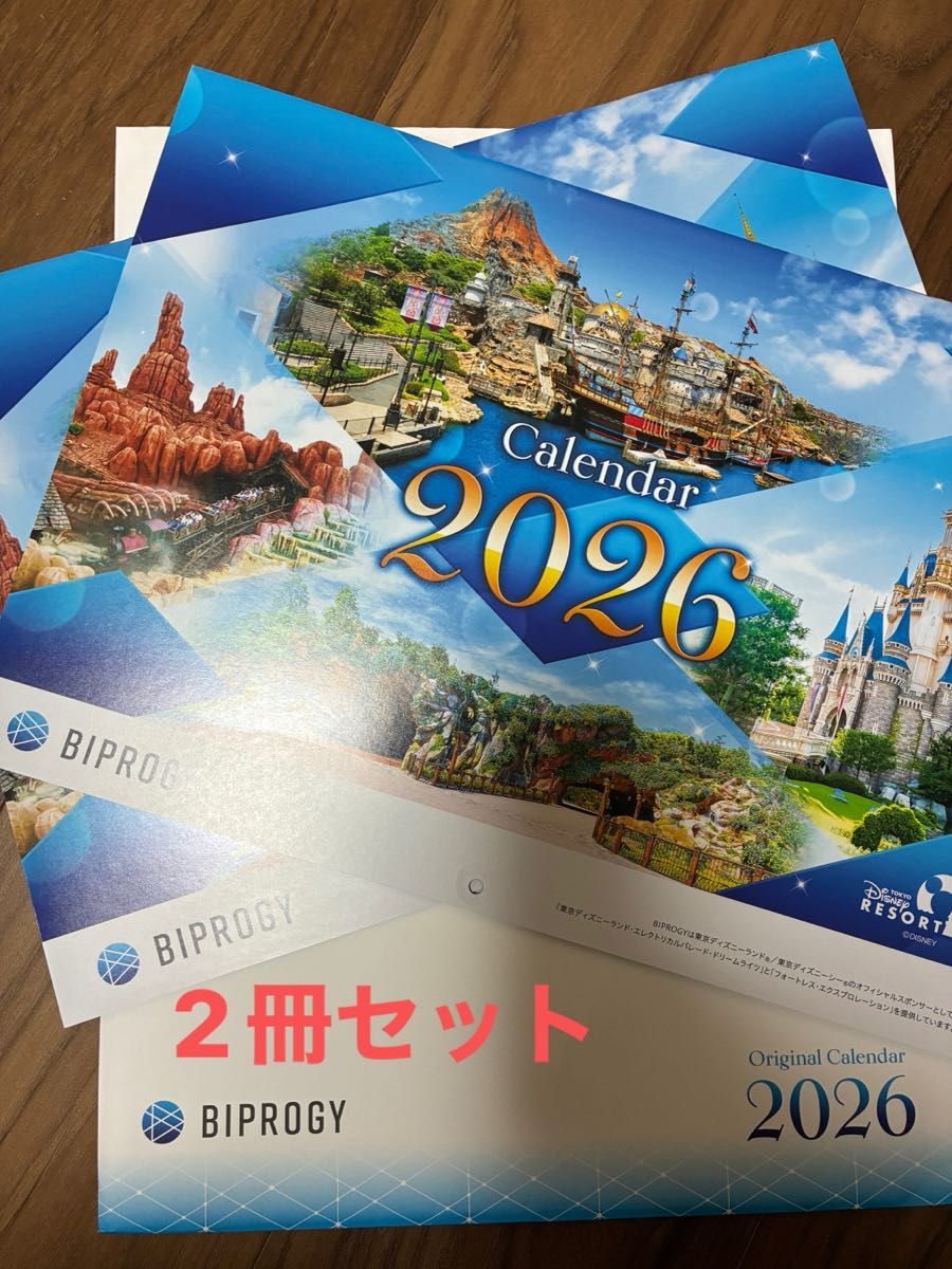 東京ディズニーリゾート カレンダー 2026 2部セット