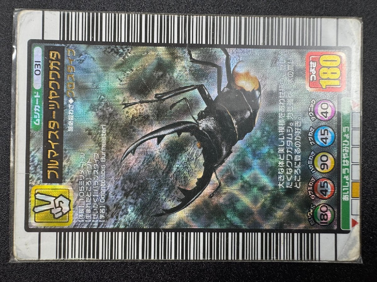 2026年最新】Yahoo!オークション -クワガタ(トレーディングカード)の