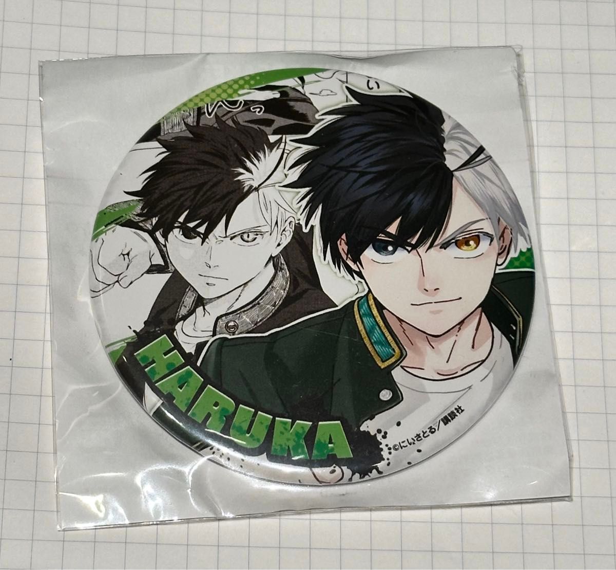 WIND BREAKER 桜遥 ナンジャタウン 等身缶バッジ WIND BREAKER 桜遥